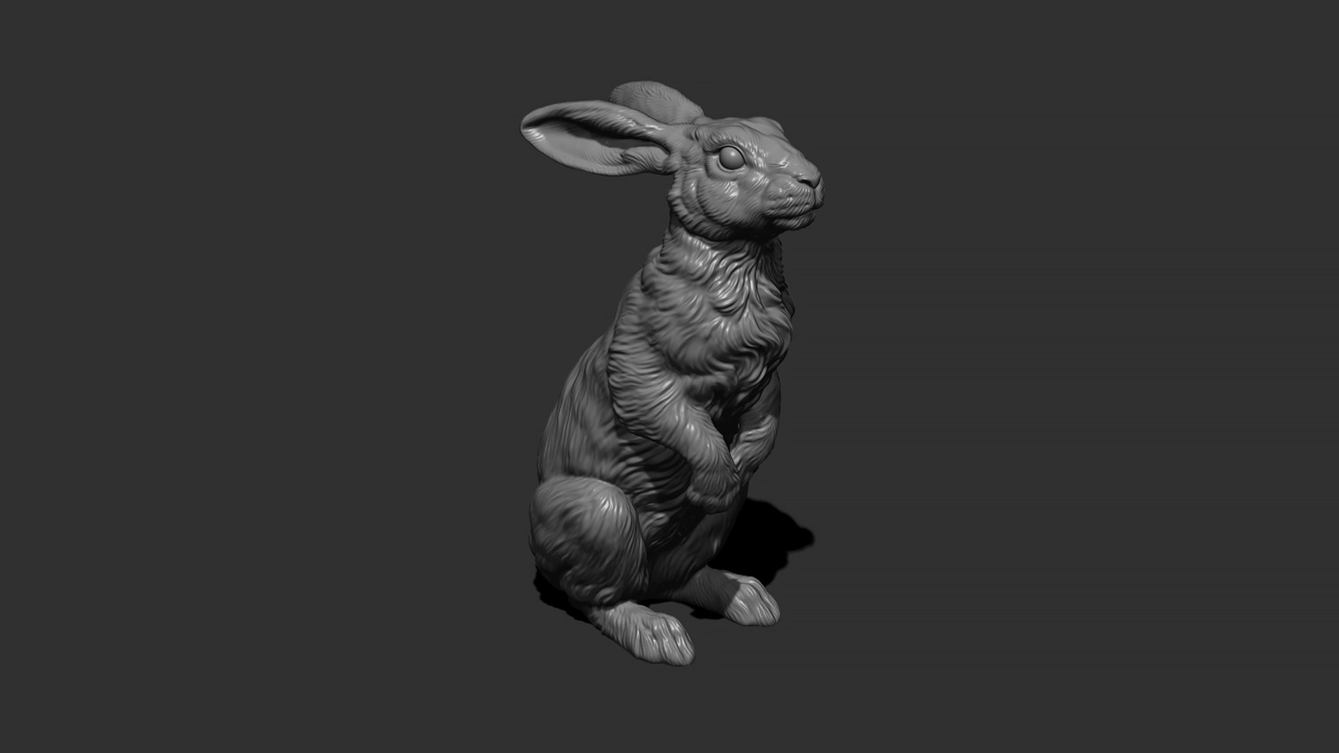 Hare sitting 3D model https://p.turbosquid.com/ts-thumb/Bj/aIbVfK/aX/10/jpg/1670849300/1920x1080/fit_q87/76a9ac4fc1c86f76639c3f14f5cea6635952c3f6/10.jpg