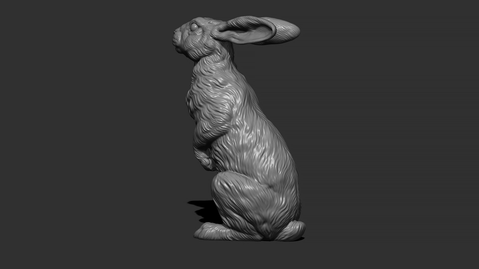 Hare sitting 3D model https://p.turbosquid.com/ts-thumb/Bj/aIbVfK/bH/11/jpg/1670849302/1920x1080/fit_q87/e016a42a80466950512aa00711a98338a706676f/11.jpg