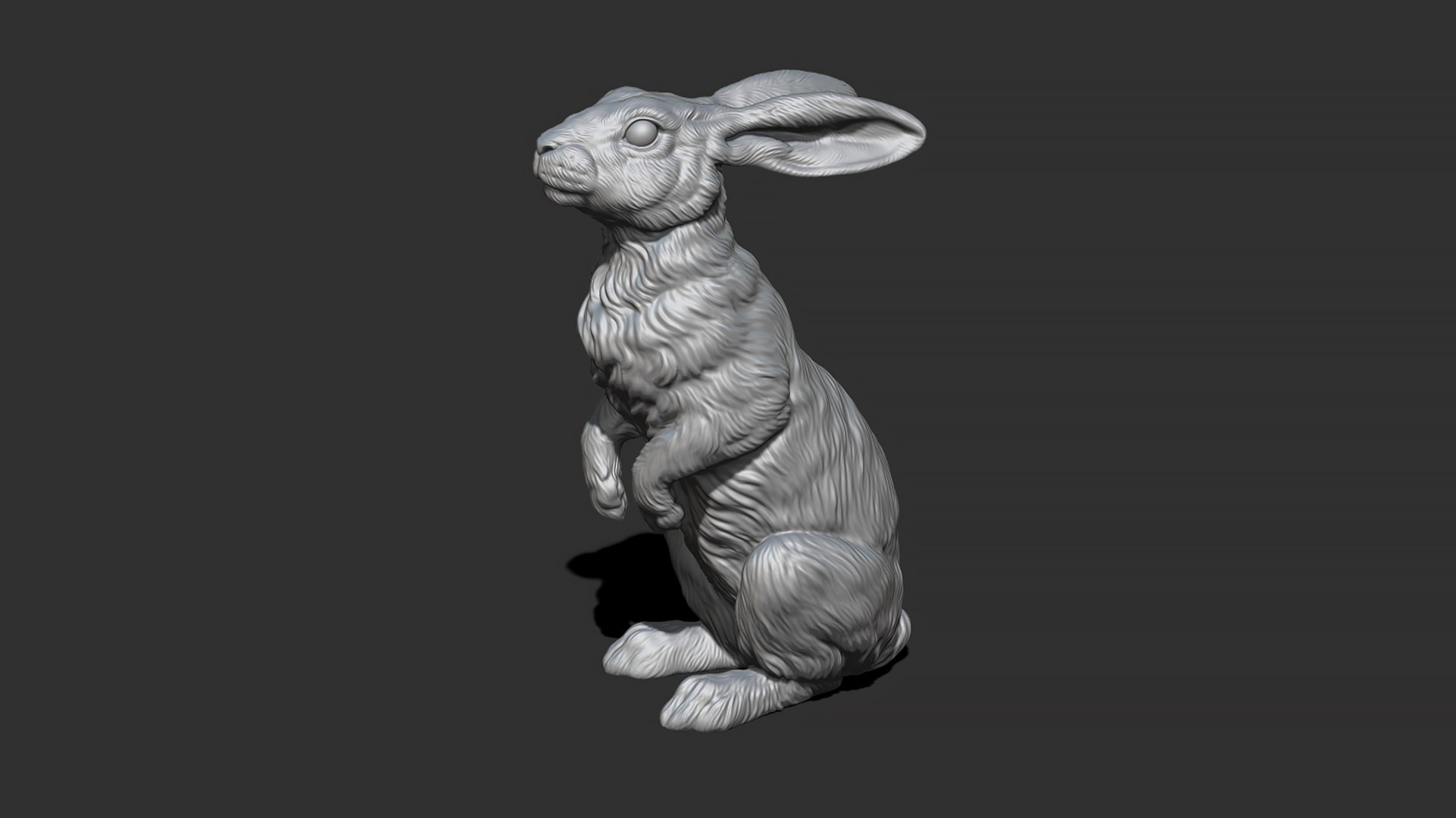 Hare sitting 3D model https://p.turbosquid.com/ts-thumb/Bj/aIbVfK/pi/28/jpg/1670849306/1920x1080/fit_q87/7a011e747a2e4b8f1f9f1773a12645892851cf44/28.jpg