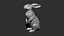Hare sitting