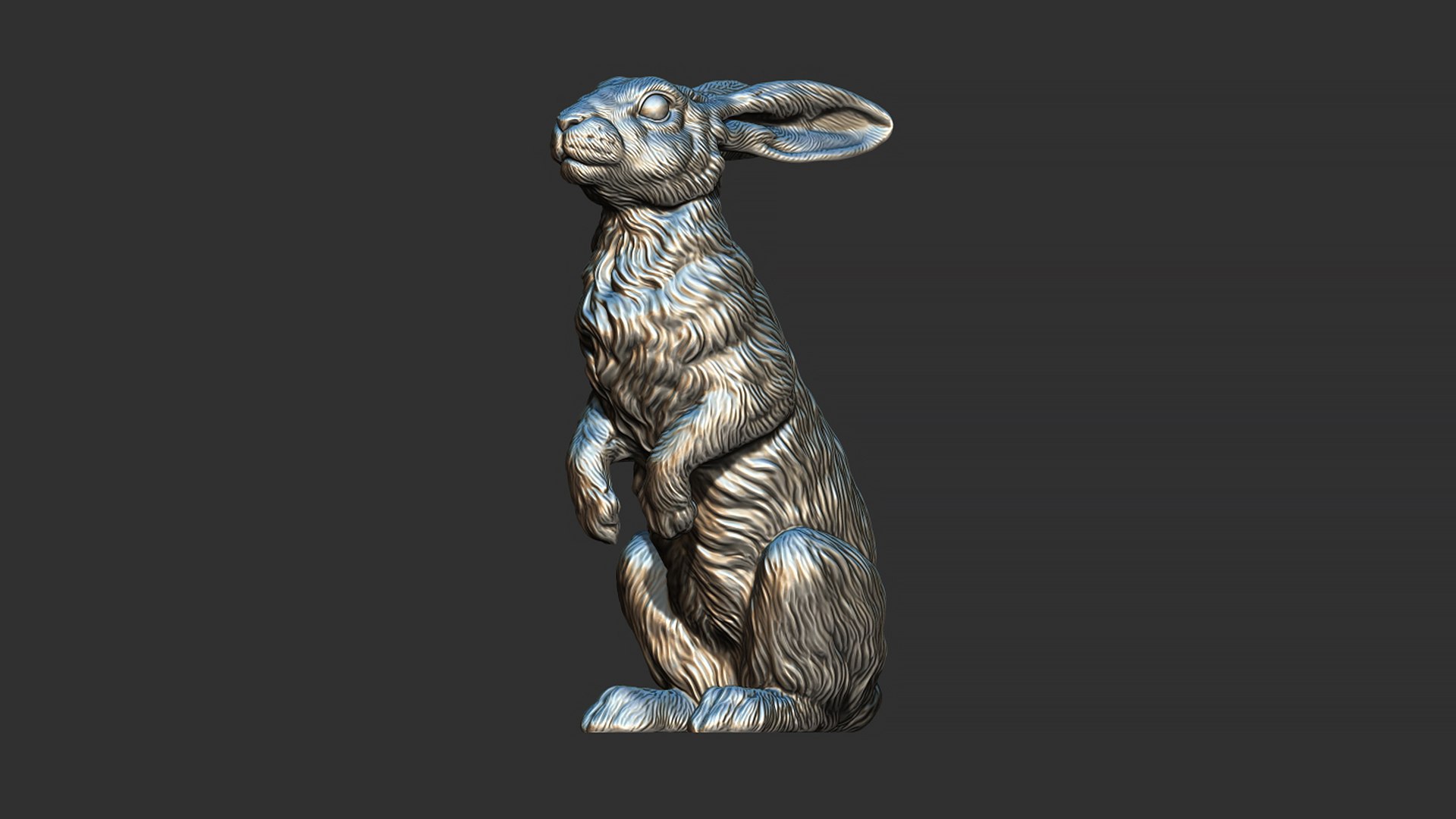 Hare sitting 3D model https://p.turbosquid.com/ts-thumb/Bj/aIbVfK/tj/24/jpg/1670849305/1920x1080/fit_q87/30d1f974c8de103505aada234f42f9aa75623c55/24.jpg
