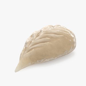 Leaf Shaped Dumpling Cooked 3D model