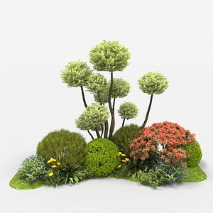 Ligustrum lucidum Group model
