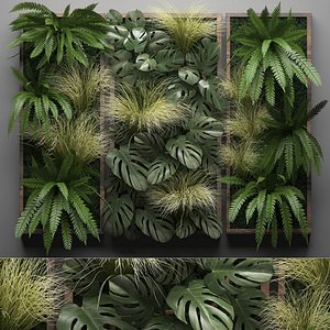 Vertical gardening Fern Wall 10
