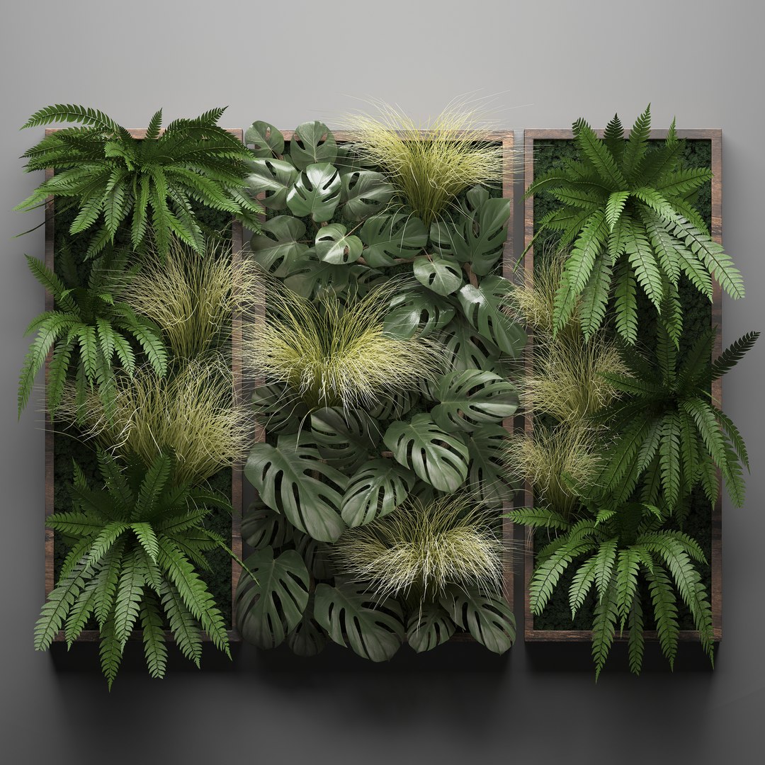 3d Vertical Gardening Wall Fern - Turbosquid 1380347