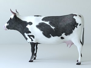 Cow