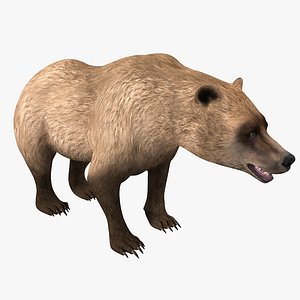 3d grizzly bear model