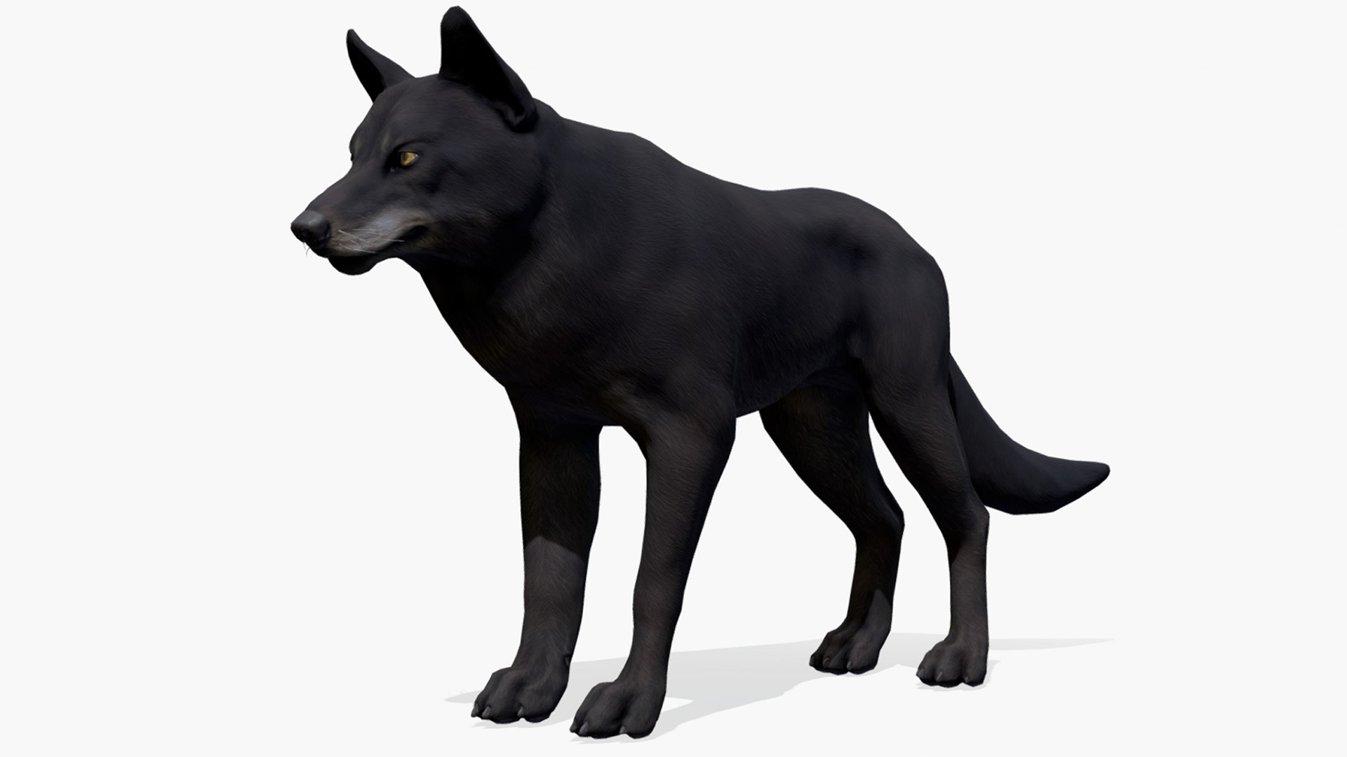 Wolf 3d Model Turbosquid 1938875