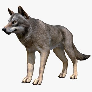 Animated Blender Wolf Models