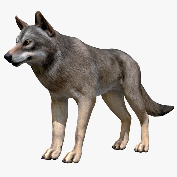 Free 3D Wolf Models | TurboSquid