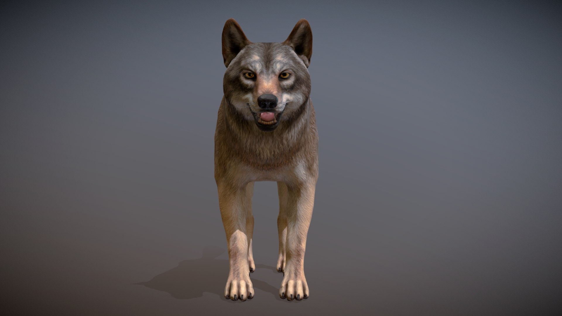 Wolf 3D model https://p.turbosquid.com/ts-thumb/Bk/ScAXY6/Id/r2/png/1659786052/1920x1080/fit_q87/db57d74963b9c6df71c528ecea3f2a9ce6eff392/r2.jpg