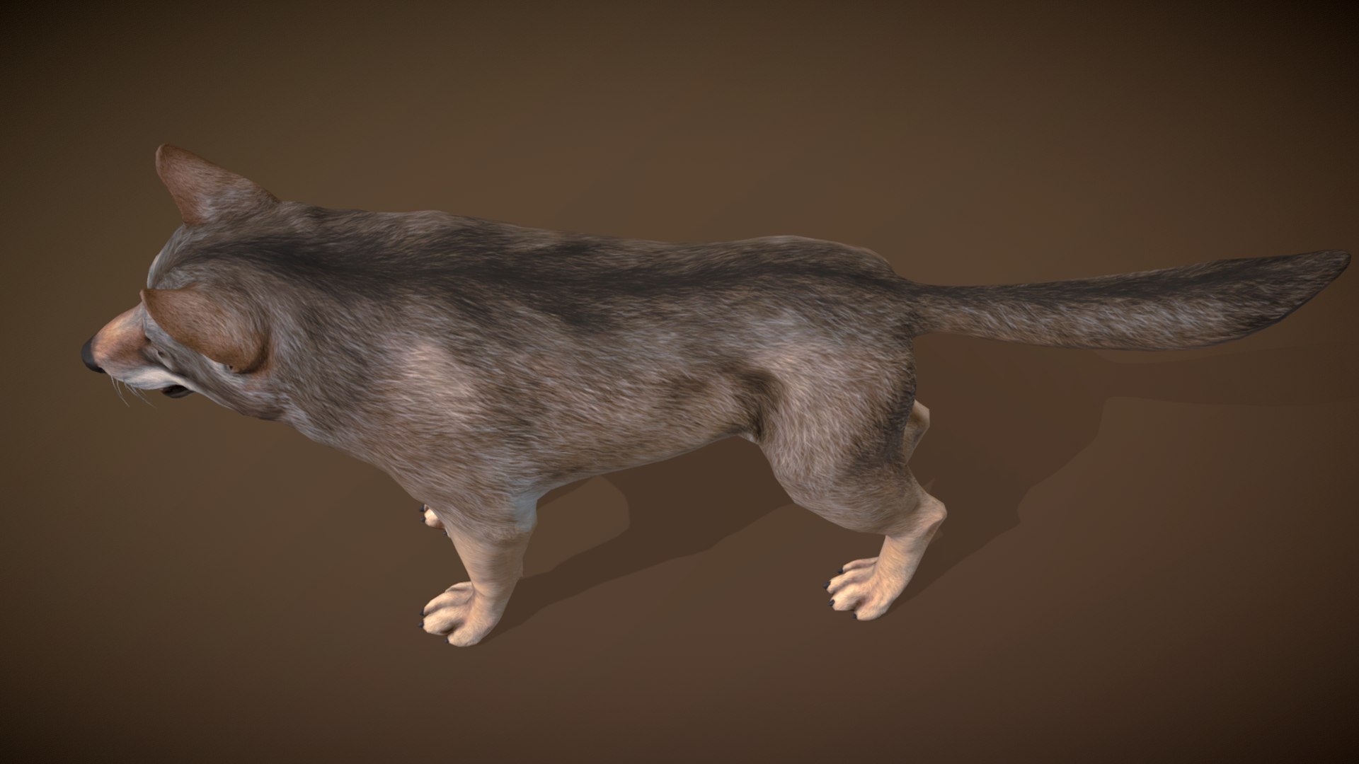 Wolf 3D model https://p.turbosquid.com/ts-thumb/Bk/ScAXY6/iX/r5/png/1659786055/1920x1080/fit_q87/d0cdf3acdc79d397e3d88d803cbd104b99b215e2/r5.jpg
