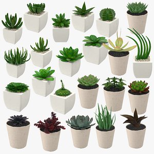 23 succulents 3d model