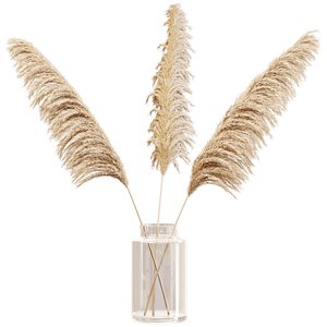 dry branches pampas grass 3D model