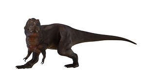 Tyrannosaurus Rex 3D model