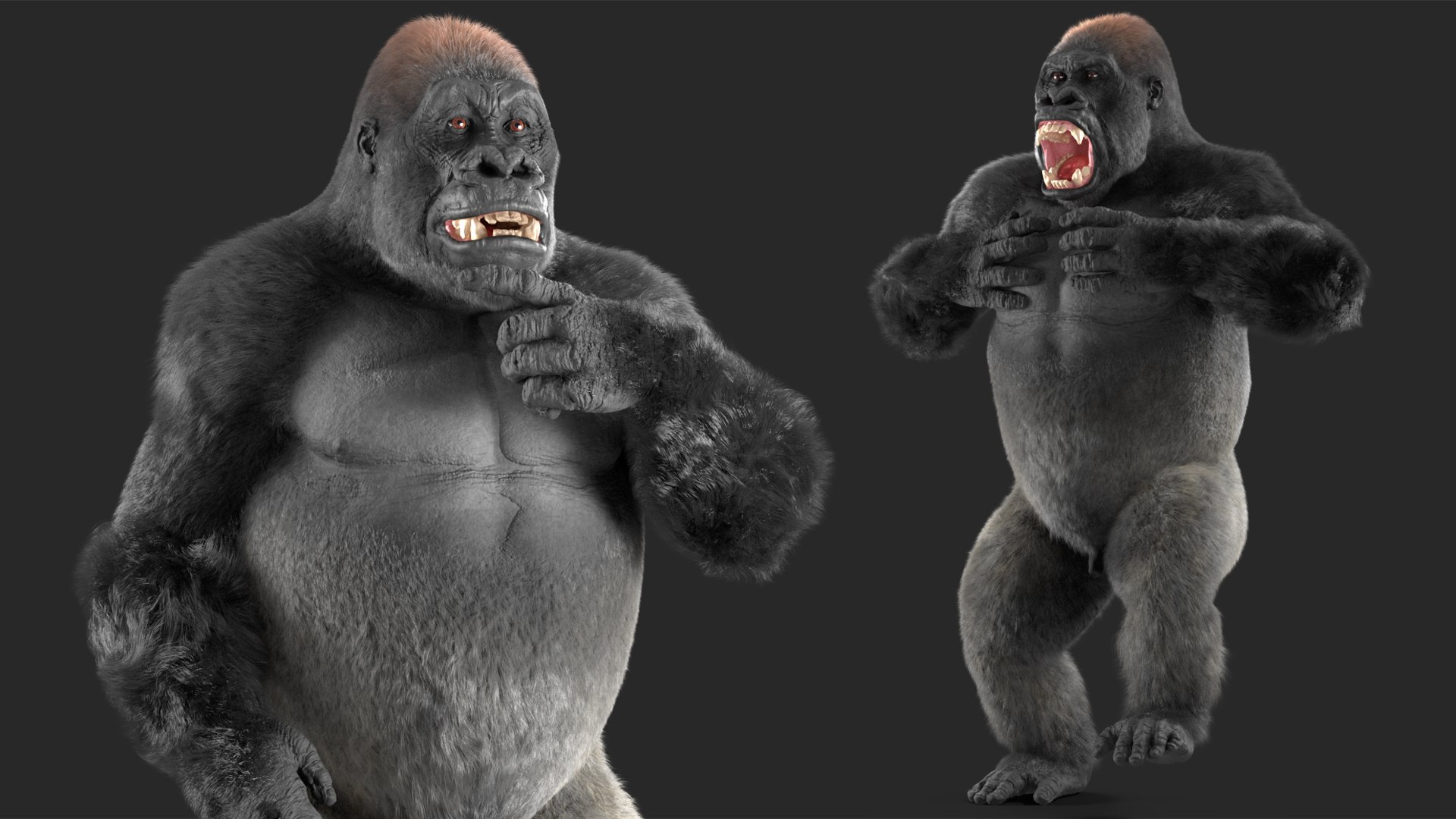 3D model Gorilla Fur Rigged https://p.turbosquid.com/ts-thumb/Bk/a1vJCL/0J/gorillafurriggedmb3dmodel020/jpg/1708958969/1920x1080/fit_q87/d8dfa12032205acacf80e8e4f01739ed45d2039f/gorillafurriggedmb3dmodel020.jpg