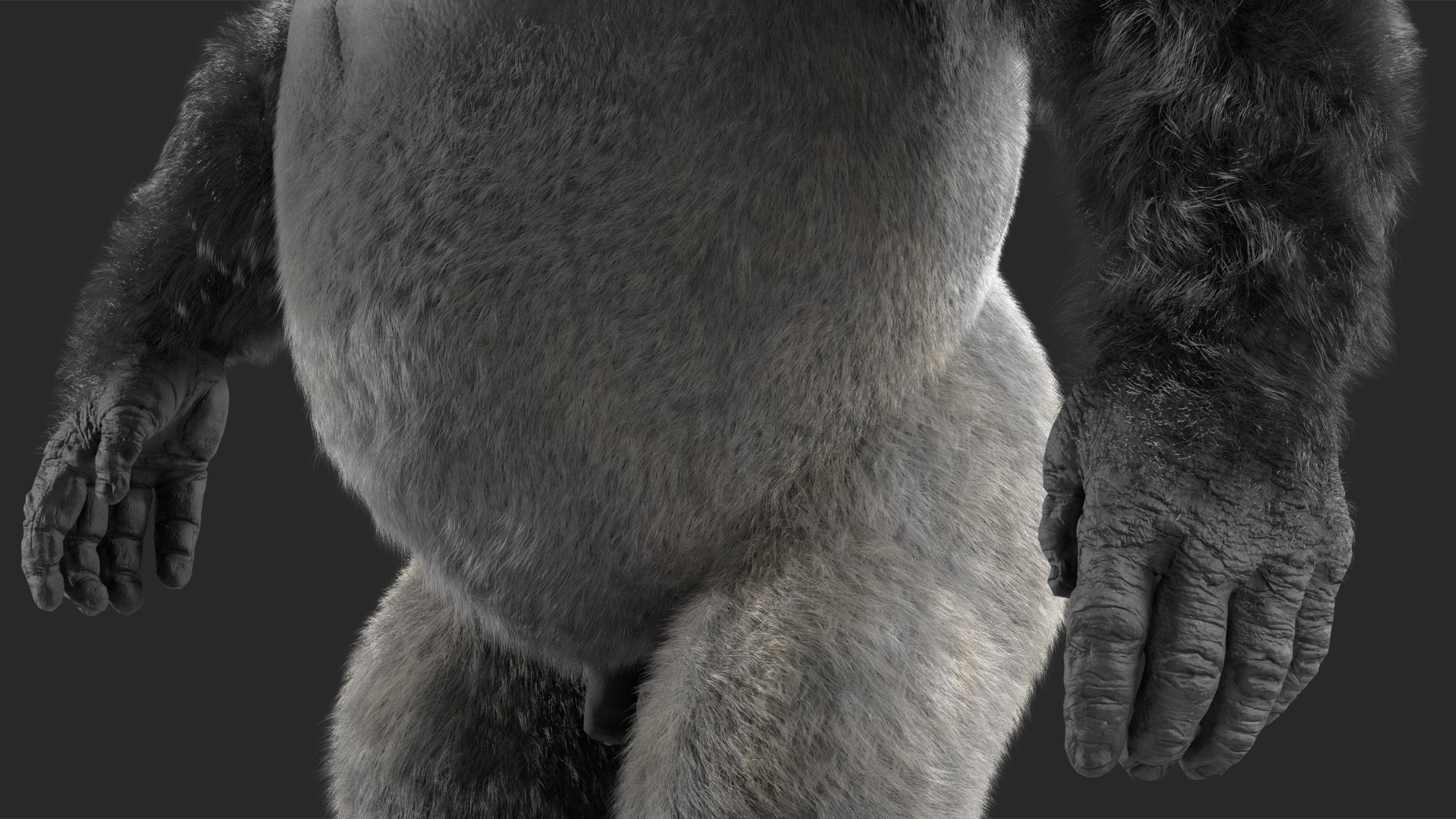 3D model Gorilla Fur Rigged https://p.turbosquid.com/ts-thumb/Bk/a1vJCL/CI/gorillafurriggedmb3dmodel025/jpg/1708958993/1920x1080/fit_q87/48e4676c516b55a54de4967e39234952f2bf5a4d/gorillafurriggedmb3dmodel025.jpg