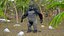 Gorillafell manipuliert