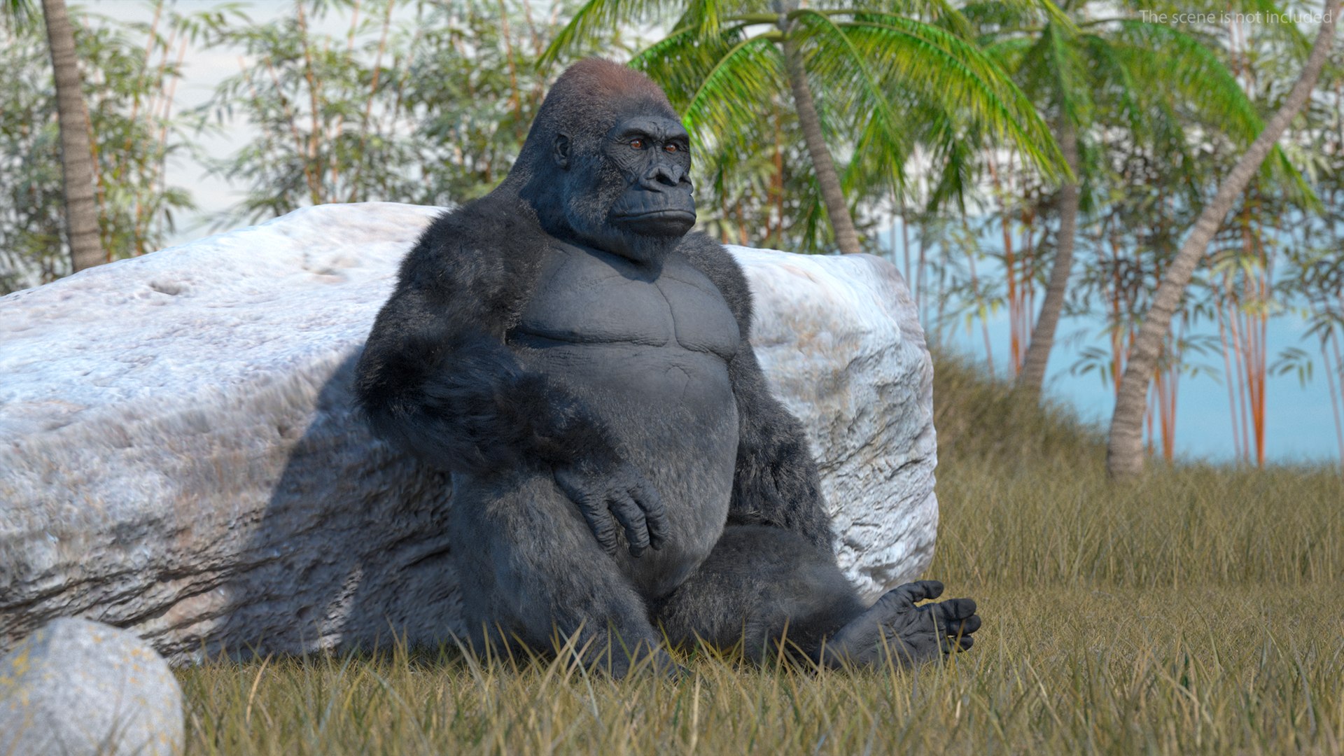 3D model Gorilla Fur Rigged https://p.turbosquid.com/ts-thumb/Bk/a1vJCL/se/gorillafurriggedmb3dmodel011/jpg/1708958923/1920x1080/fit_q87/fe3c9cb519ec97d683c89b4317f7f069384f9db3/gorillafurriggedmb3dmodel011.jpg
