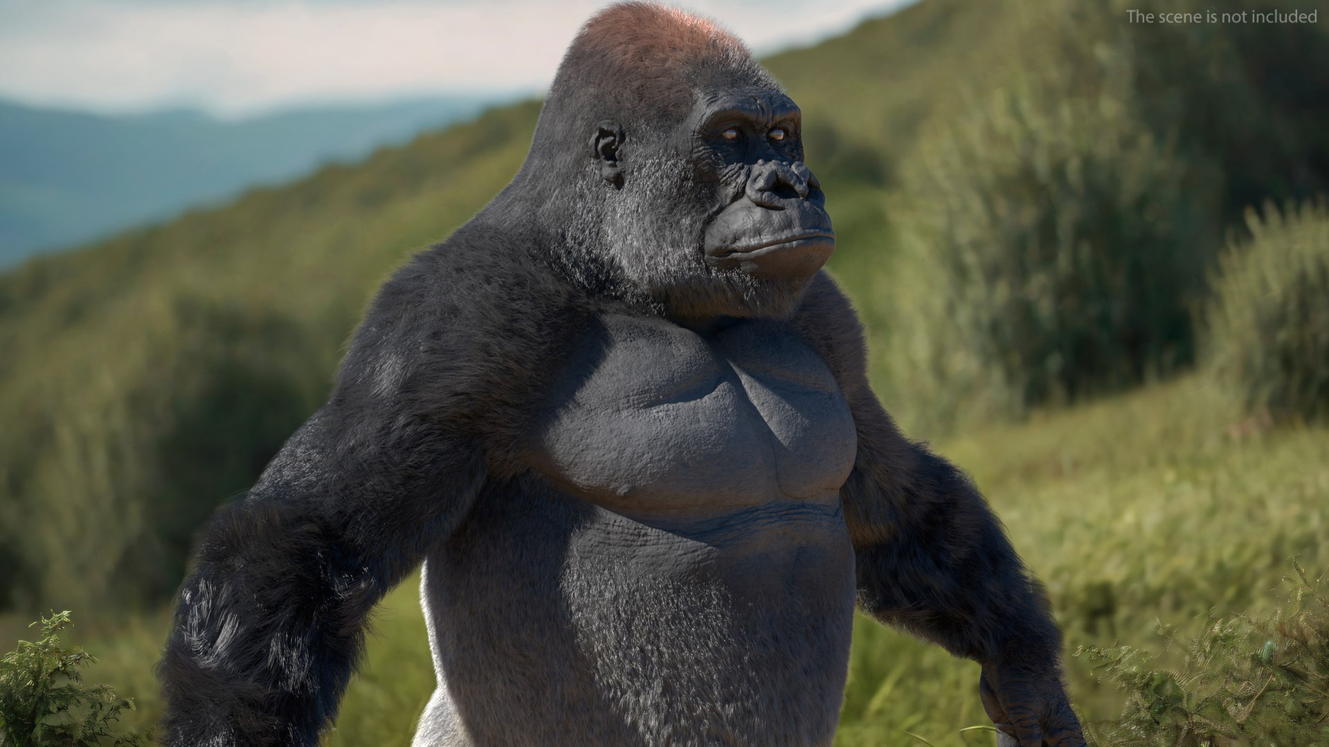 3D model Gorilla Fur Rigged https://p.turbosquid.com/ts-thumb/Bk/a1vJCL/tE/gorillafurriggedmb3dmodel007/jpg/1708958900/1920x1080/fit_q87/3ac17b7a369bac9b60e0aa946947bab0ed1b7204/gorillafurriggedmb3dmodel007.jpg