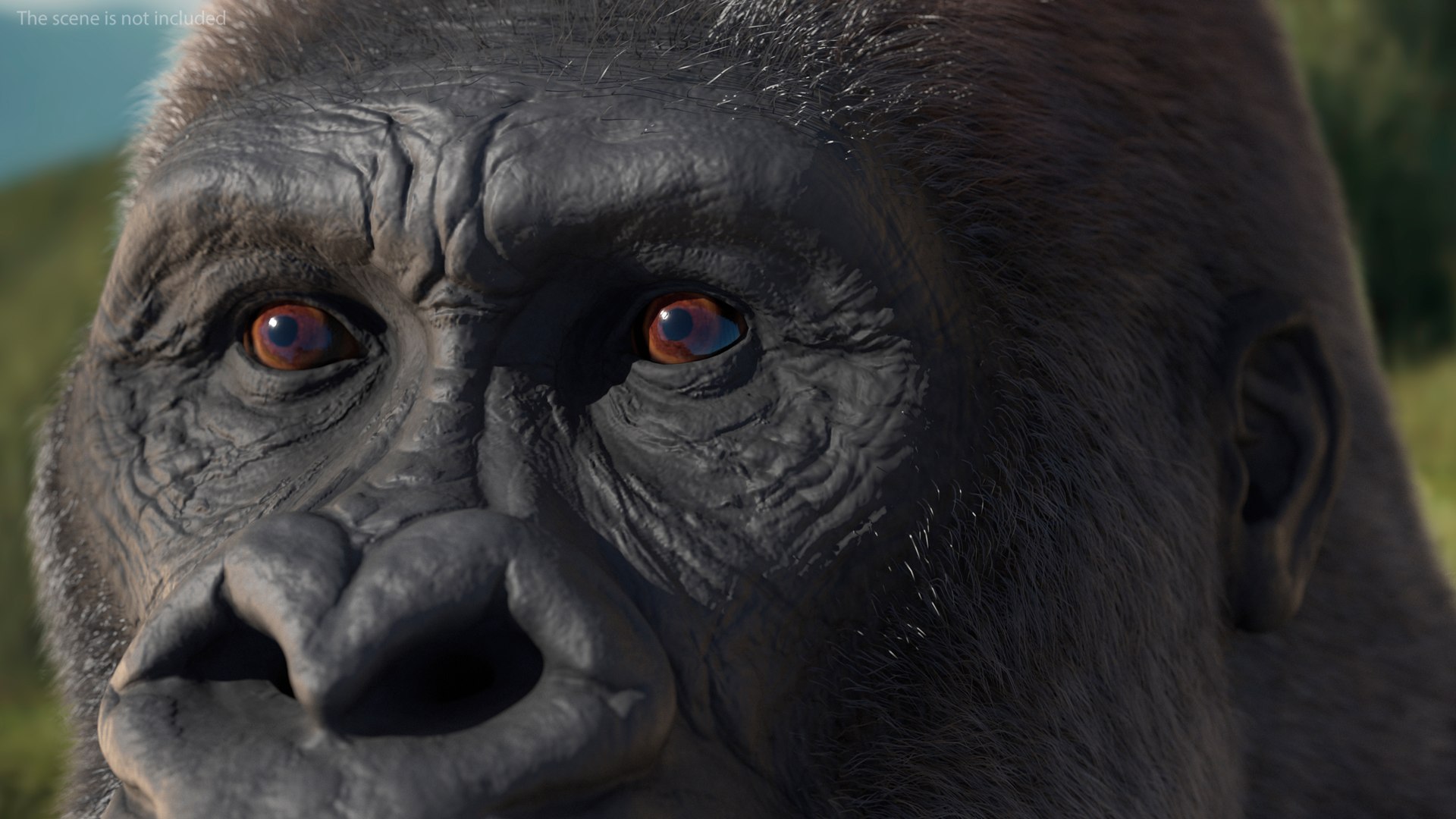 3D model Gorilla Fur Rigged https://p.turbosquid.com/ts-thumb/Bk/a1vJCL/uv/gorillafurriggedmb3dmodel008/jpg/1708958905/1920x1080/fit_q87/a381d43f9d900a2ad900af74a1334350b8ced49e/gorillafurriggedmb3dmodel008.jpg
