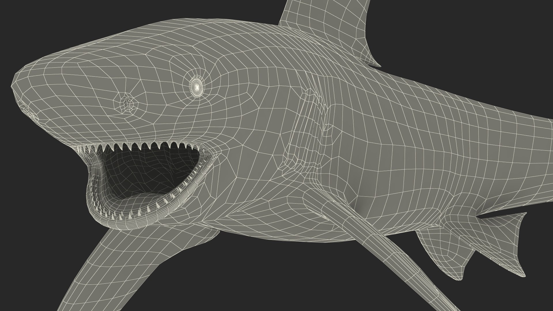 Oceanic Whitetip Shark or Carcharhinus Longimanus 3D model https://p.turbosquid.com/ts-thumb/Bk/drmVwT/3v/oceanicwhitetipsharkorcarcharhinuslongimanus3dsmodel026/jpg/1723098024/1920x1080/fit_q87/9572d4b334c2740e8e07bed8e6eb7855c2980416/oceanicwhitetipsharkorcarcharhinuslongimanus3dsmodel026.jpg