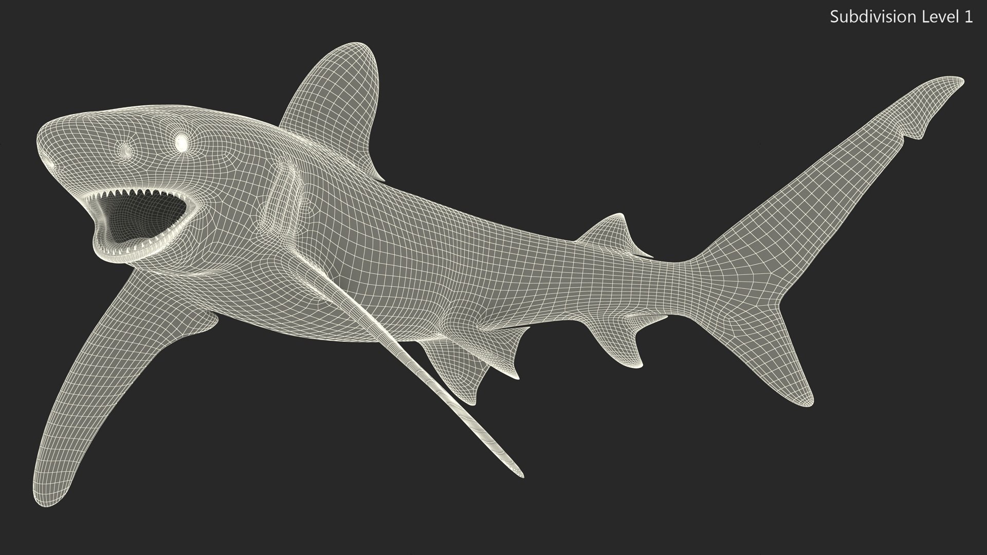 Oceanic Whitetip Shark or Carcharhinus Longimanus 3D model https://p.turbosquid.com/ts-thumb/Bk/drmVwT/9k/oceanicwhitetipsharkorcarcharhinuslongimanus3dsmodel018/jpg/1723097985/1920x1080/fit_q87/8051fc479257fe4010cf3980af054bb5abe36803/oceanicwhitetipsharkorcarcharhinuslongimanus3dsmodel018.jpg