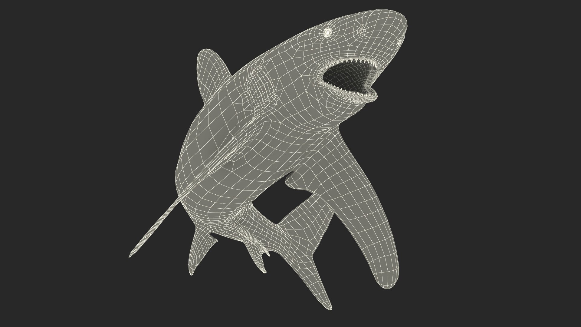 Oceanic Whitetip Shark or Carcharhinus Longimanus 3D model https://p.turbosquid.com/ts-thumb/Bk/drmVwT/Gj/oceanicwhitetipsharkorcarcharhinuslongimanus3dsmodel022/jpg/1723098004/1920x1080/fit_q87/7b25346659f3294e8a553c0aba6586ca95e3dcfc/oceanicwhitetipsharkorcarcharhinuslongimanus3dsmodel022.jpg