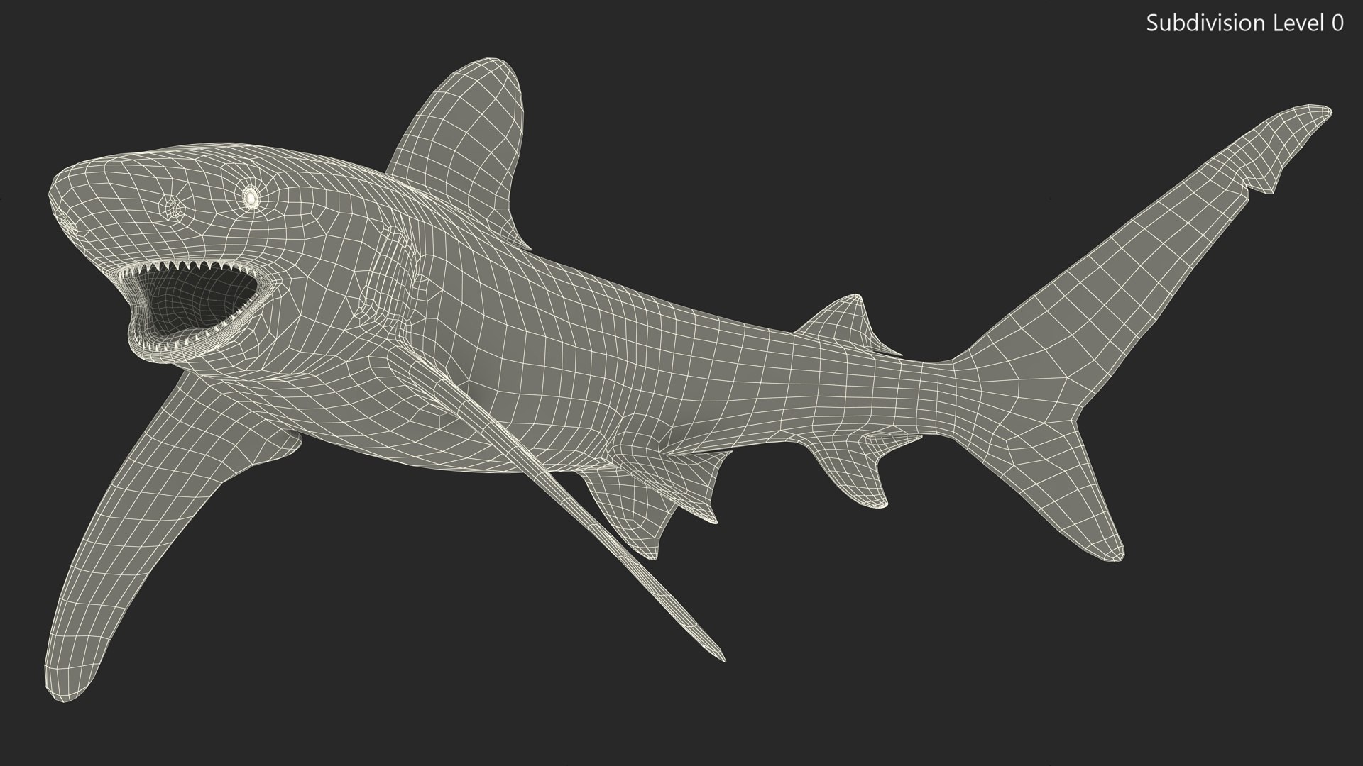 Oceanic Whitetip Shark or Carcharhinus Longimanus 3D model https://p.turbosquid.com/ts-thumb/Bk/drmVwT/PU/oceanicwhitetipsharkorcarcharhinuslongimanus3dsmodel017/jpg/1723097980/1920x1080/fit_q87/41f543df676f40ed6ec8e4c53bed94ee71c78ec8/oceanicwhitetipsharkorcarcharhinuslongimanus3dsmodel017.jpg