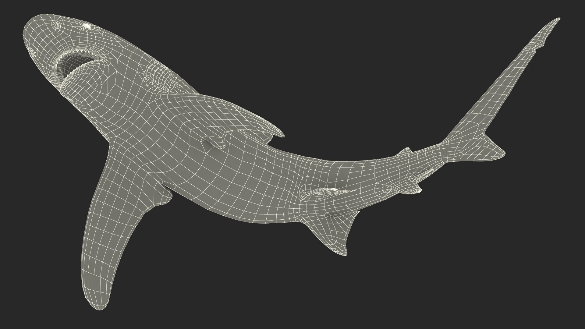 Oceanic Whitetip Shark or Carcharhinus Longimanus 3D model https://p.turbosquid.com/ts-thumb/Bk/drmVwT/Q2/oceanicwhitetipsharkorcarcharhinuslongimanus3dsmodel024/jpg/1723098014/1920x1080/fit_q87/aa80b1f03c11f32a0a7ce0be62d473d648afaa77/oceanicwhitetipsharkorcarcharhinuslongimanus3dsmodel024.jpg