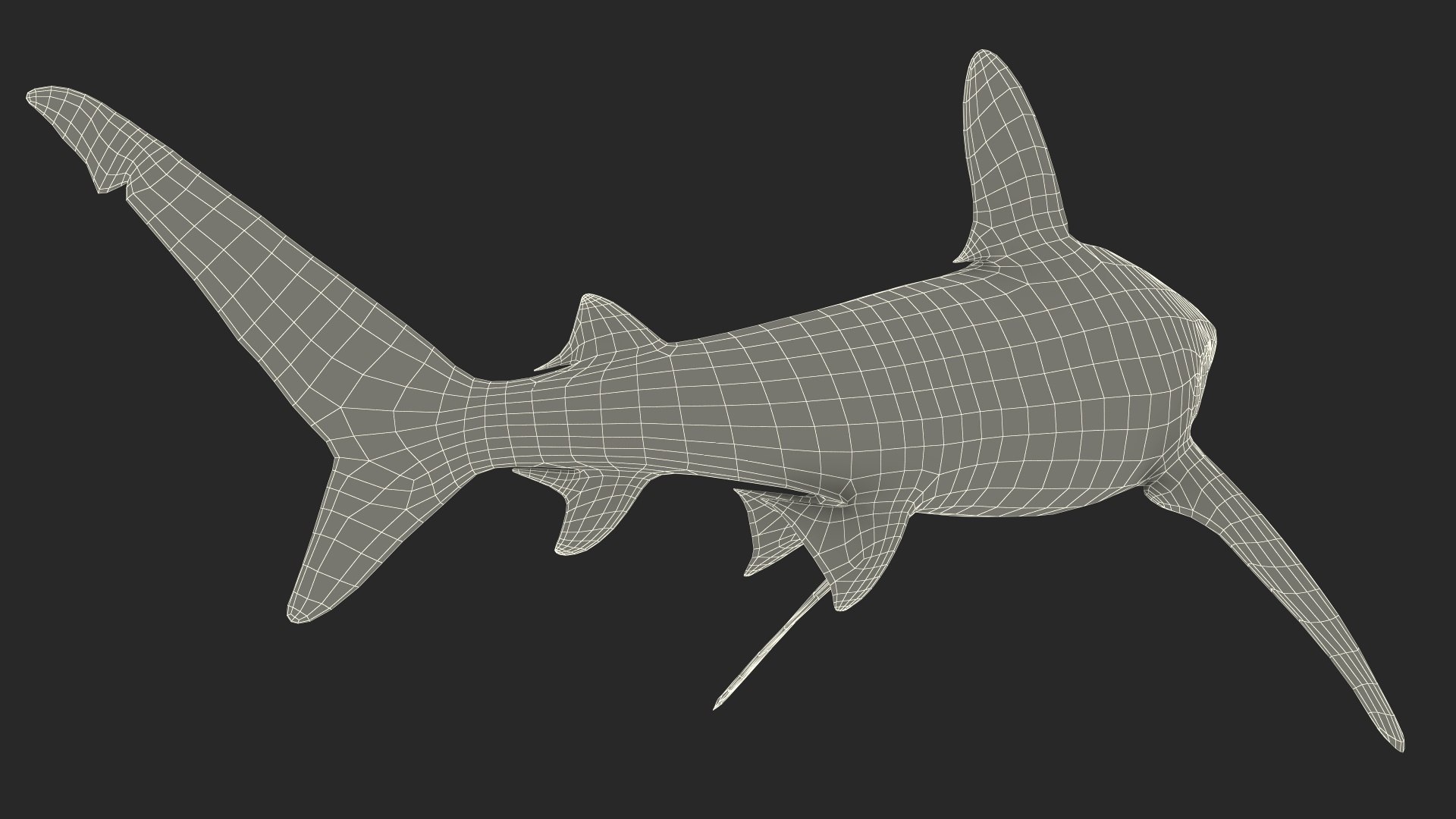 Oceanic Whitetip Shark or Carcharhinus Longimanus 3D model https://p.turbosquid.com/ts-thumb/Bk/drmVwT/T3/oceanicwhitetipsharkorcarcharhinuslongimanus3dsmodel023/jpg/1723098009/1920x1080/fit_q87/746769b6500938937335daeddb3229d61515d1a1/oceanicwhitetipsharkorcarcharhinuslongimanus3dsmodel023.jpg