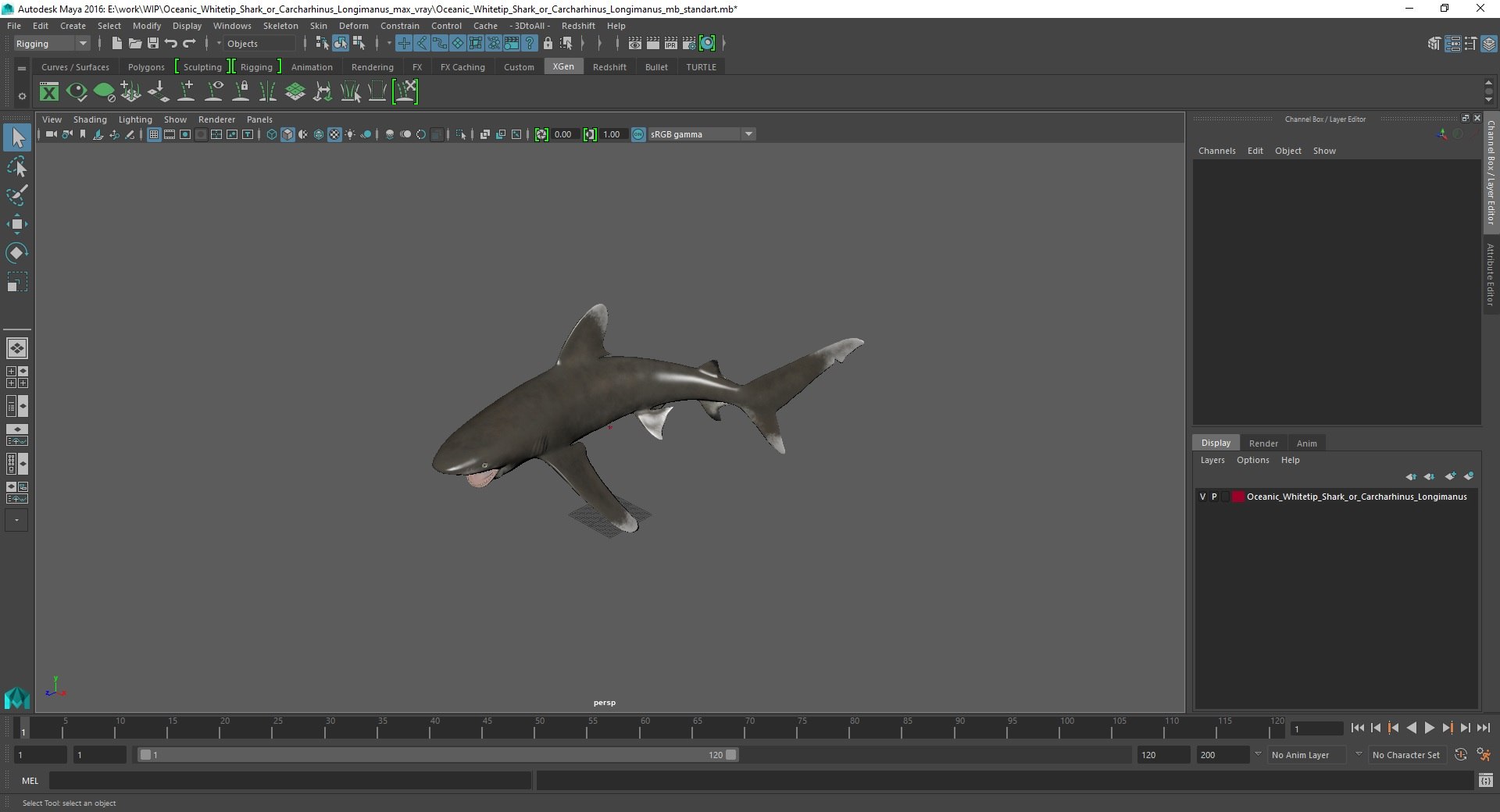 Oceanic Whitetip Shark or Carcharhinus Longimanus 3D model https://p.turbosquid.com/ts-thumb/Bk/drmVwT/fH/oceanicwhitetipsharkorcarcharhinuslongimanus3dsmodel038/jpg/1723098041/1920x1080/fit_q87/18abf9b72f353add03bae0b8f83f0b0402c2b4c2/oceanicwhitetipsharkorcarcharhinuslongimanus3dsmodel038.jpg