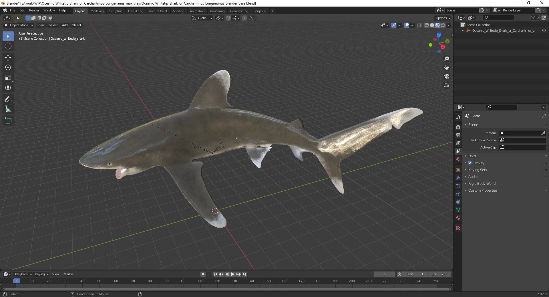 Oceanic Whitetip Shark or Carcharhinus Longimanus 3D model https://p.turbosquid.com/ts-thumb/Bk/drmVwT/uU/oceanicwhitetipsharkorcarcharhinuslongimanus3dsmodel035/jpg/1723098028/1920x1080/fit_q87/2ac5b7afa845394dcedab13f710842ae94109a2c/oceanicwhitetipsharkorcarcharhinuslongimanus3dsmodel035.jpg