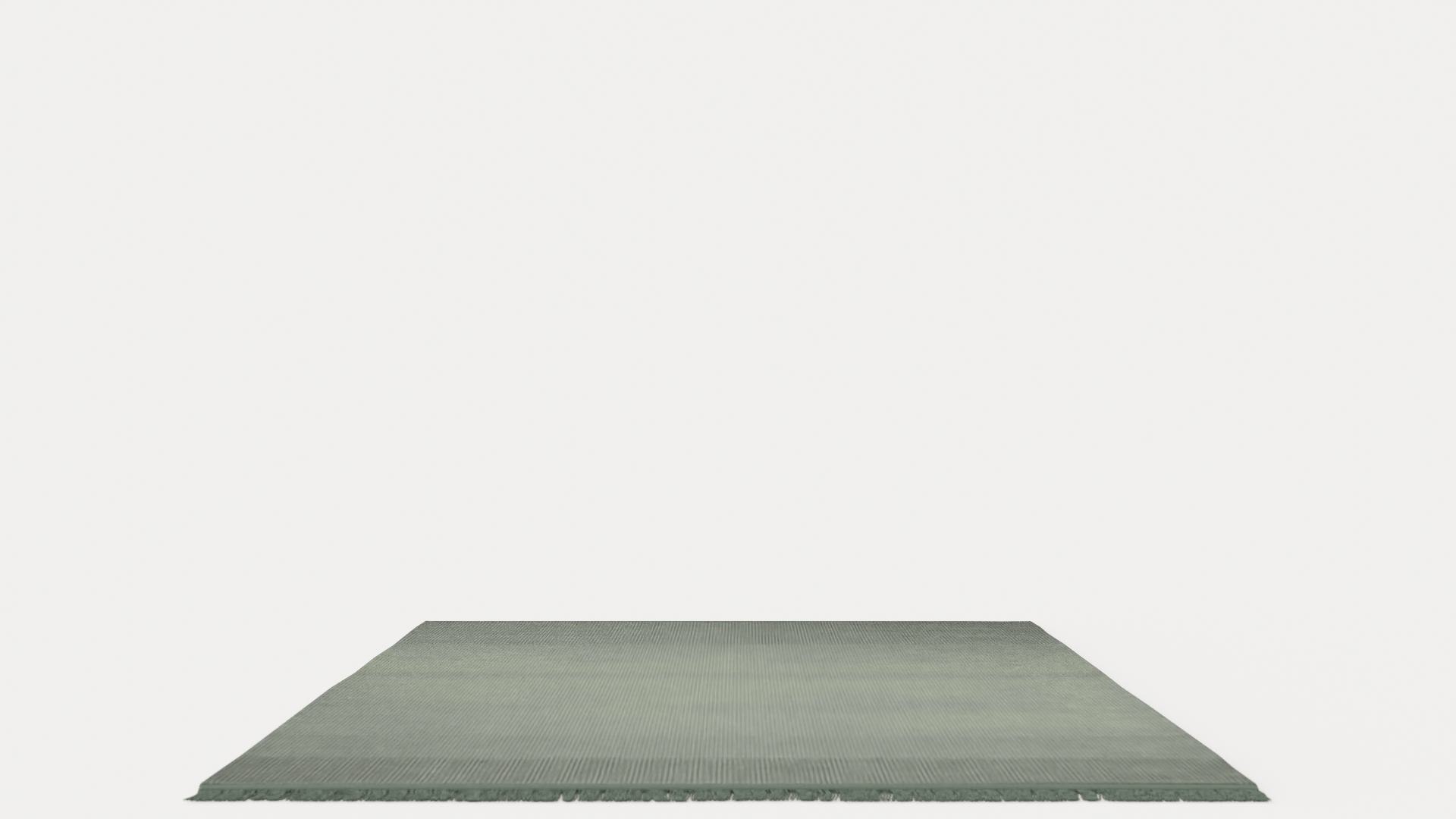 3D EVEN MOSS Rug https://p.turbosquid.com/ts-thumb/Bk/tlbT8r/41/preview_0/jpg/1716804228/1920x1080/fit_q87/ba7e7240425847364700af124473533f2e28a309/preview_0.jpg
