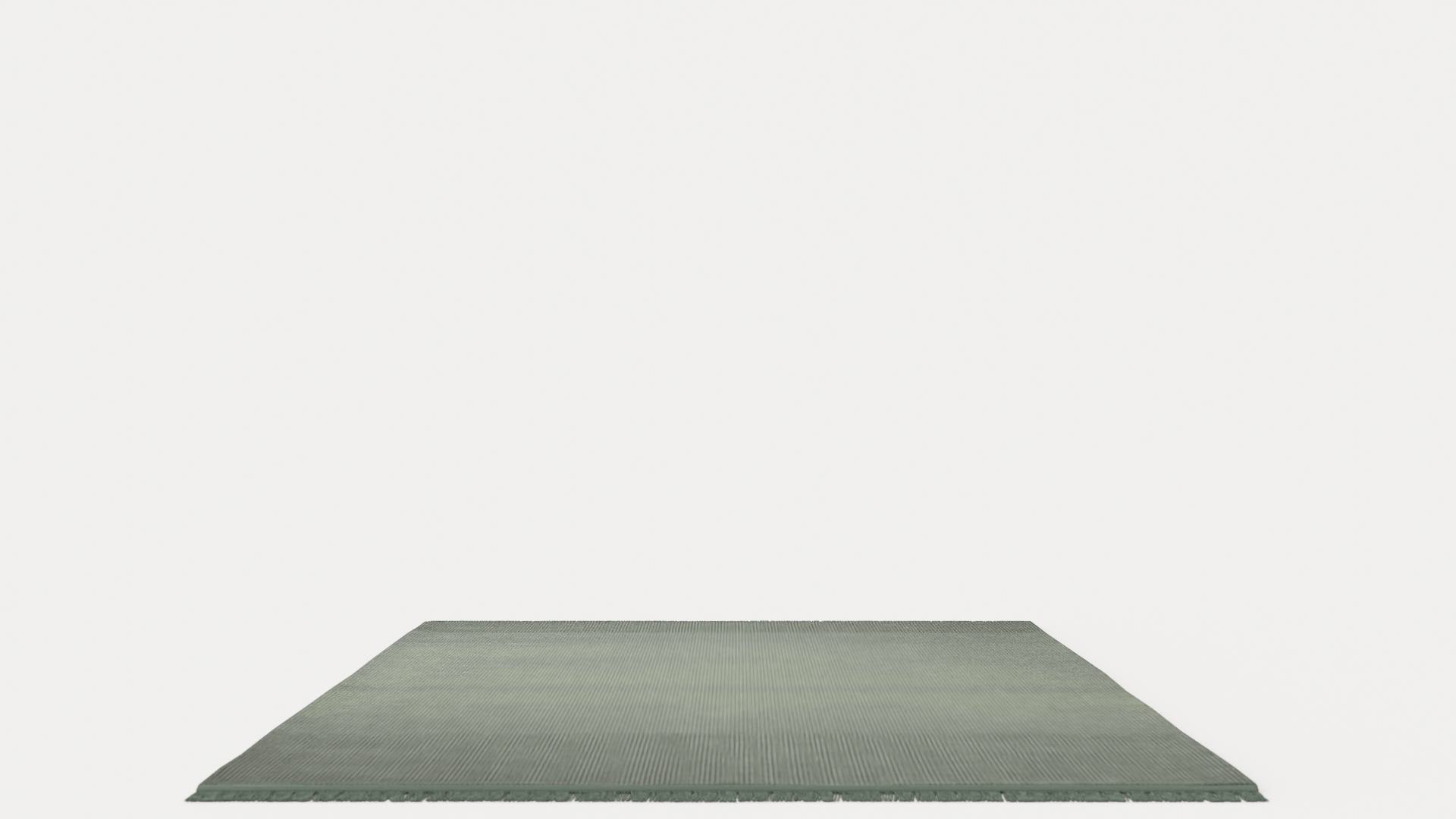 3D EVEN MOSS Rug https://p.turbosquid.com/ts-thumb/Bk/tlbT8r/lh/preview_4/jpg/1716804238/1920x1080/fit_q87/eee13d6204d160700e3b8b9be5e99b29af1d1510/preview_4.jpg
