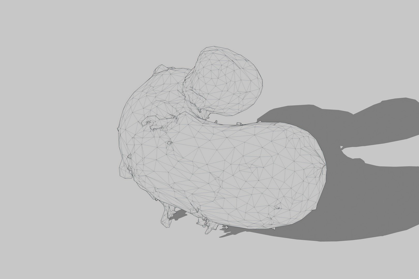 Taro Root 3D Model - TurboSquid 2377721