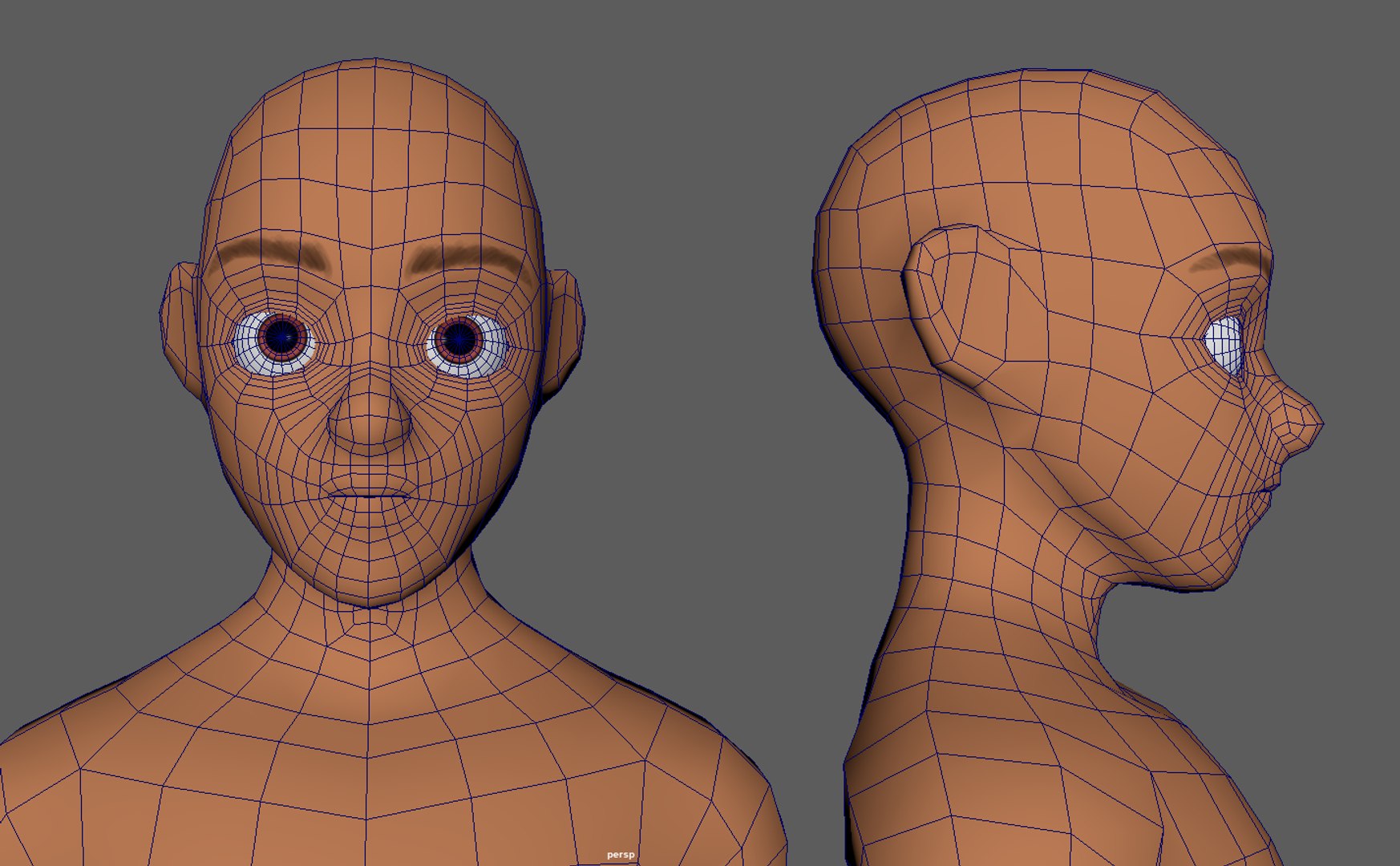 Human Base Mesh 3d Model