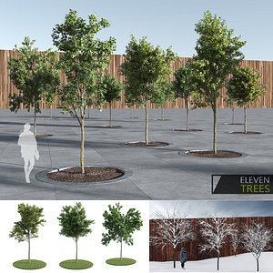 Eleven Trees (+GrowFX)