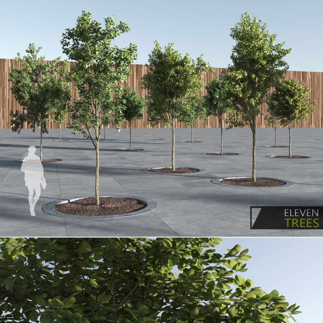 trees pack 3d obj https://p.turbosquid.com/ts-thumb/Bl/8aXkBw/ECrGp4ft/e_trees1/jpg/1586501809/1920x1080/fit_q87/00f51d92c0b19b047c62a013621132c43d8a63ca/e_trees1.jpg