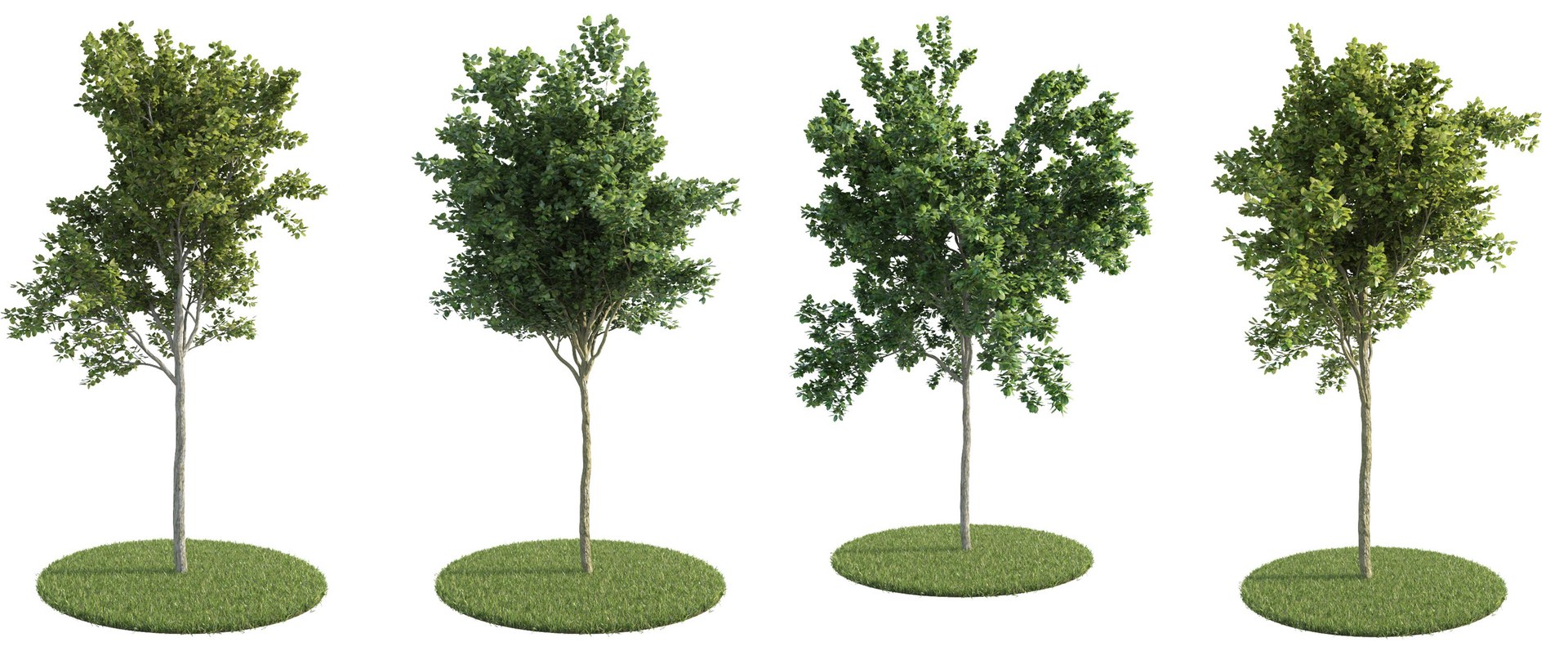 trees pack 3d obj https://p.turbosquid.com/ts-thumb/Bl/8aXkBw/M9p5egRr/e_trees2/jpg/1586501835/1920x1080/fit_q87/2937941a4688932b9238905249a500e028075a90/e_trees2.jpg