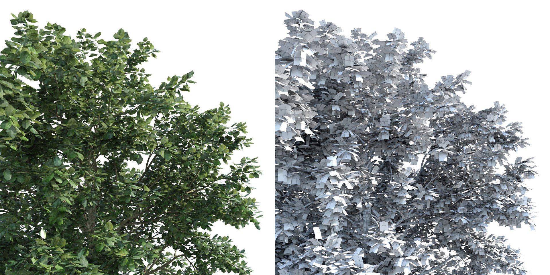 trees pack 3d obj https://p.turbosquid.com/ts-thumb/Bl/8aXkBw/YVpUDqwv/e_trees9/jpg/1586501835/1920x1080/fit_q87/4f58ba79d5ef6deaa7d9fdeac312d65fdb526bce/e_trees9.jpg