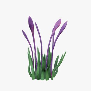 Ashen Grass