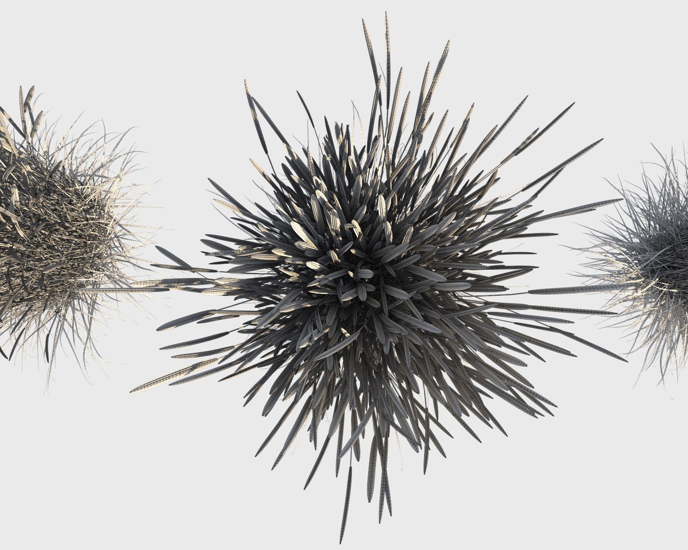 reed grass calamagrostis model https://p.turbosquid.com/ts-thumb/Bl/HDVT3Z/U8wcNhth/c_grass_10/jpg/1500140740/1920x1080/fit_q87/73ba5249379c7388bf5db416b2fd5d42c4c80d7d/c_grass_10.jpg