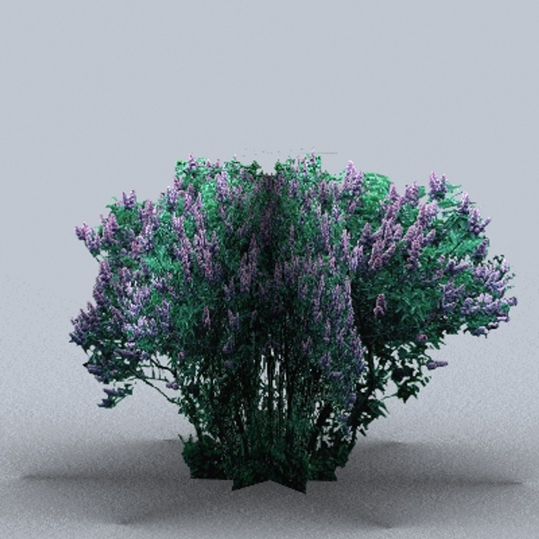 Tree Bush 3d Model
