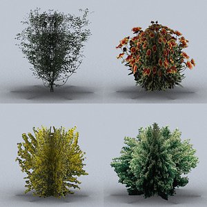 trees bushes 01