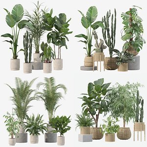 20 Photorealistic Flowers for Interiors - set 201 211 213 219 3D model