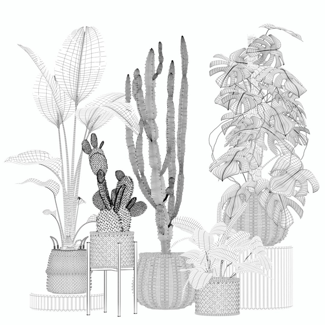 20 Photorealistic Flowers For Interiors - Set 201 211 213 219 3D Model ...