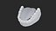 Human Lower Jaw with Teeth