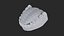 Human Lower Jaw with Teeth