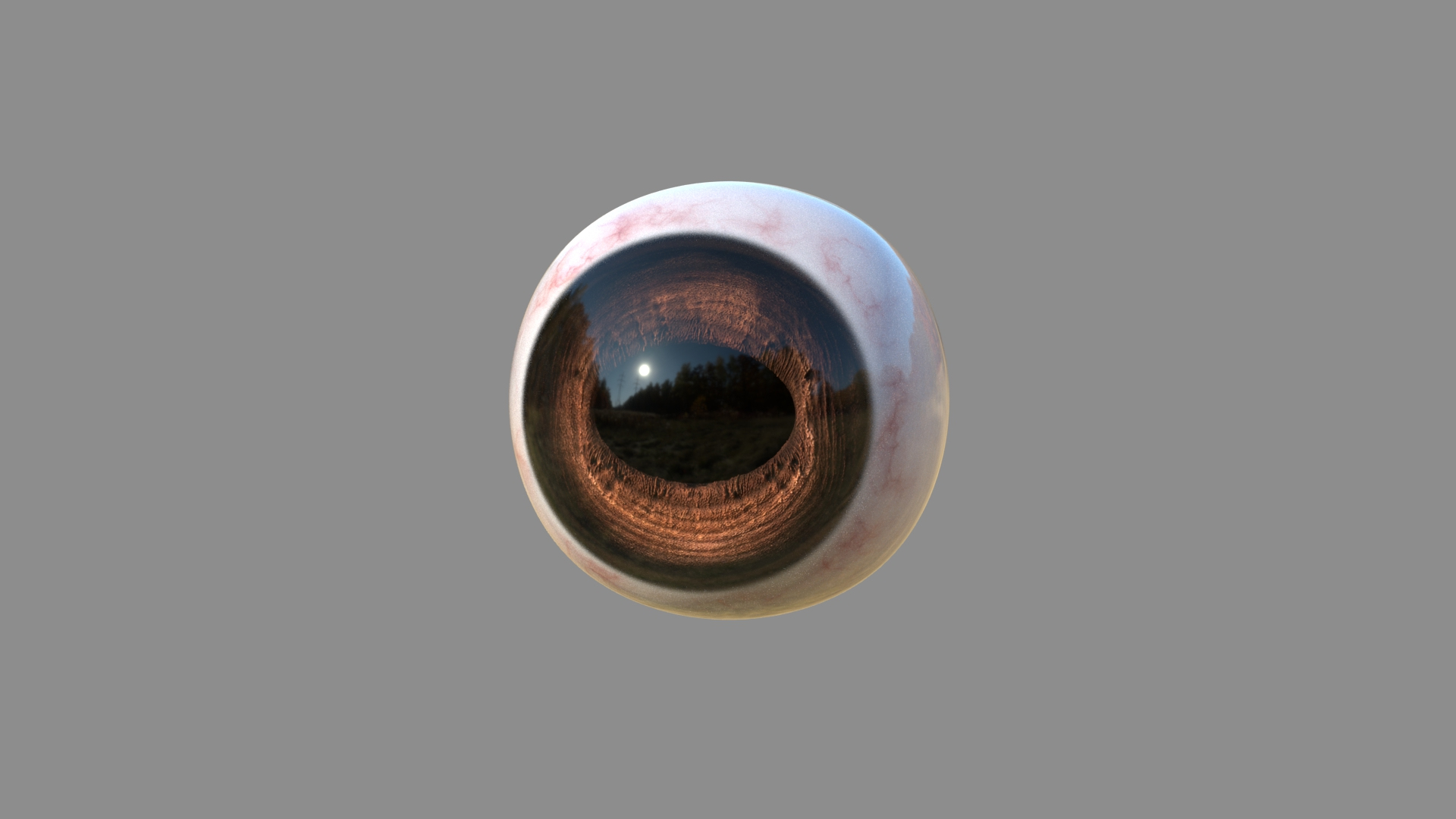 Realistic Horse Eye Model TurboSquid 1600810
